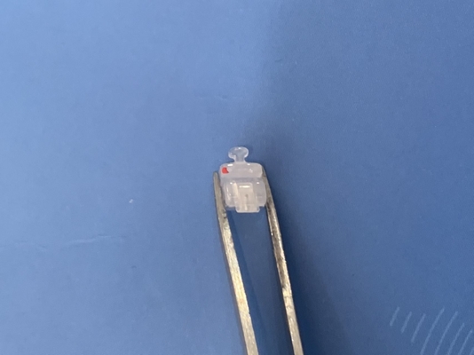 購入 0.022